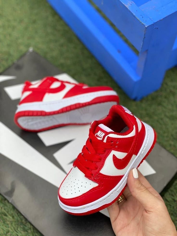 Low Dunk SB KIDS